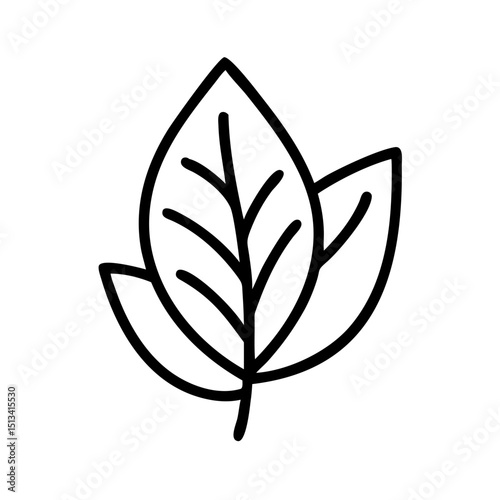 Ornate Black and White Rowan Branch Illustration , Detailed, graphic illustration of a rowan branch with intricate leaf details. 