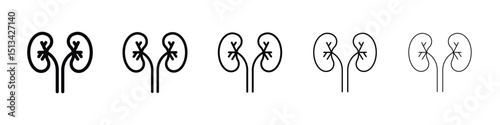 Kidneys icon Outline and flat style designs