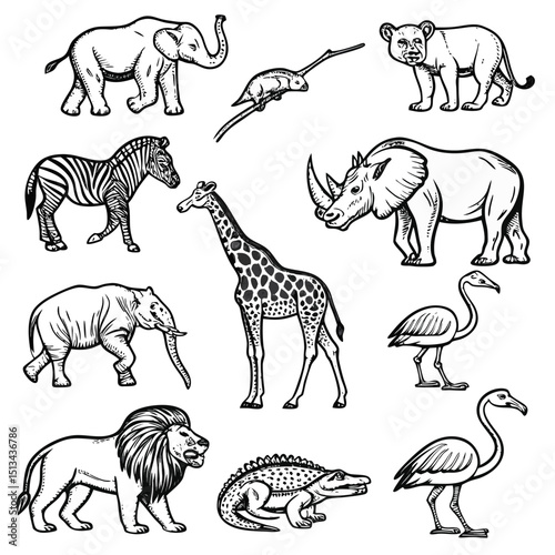 wild animals collection vector black and white
