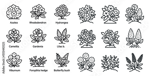 Black and white botanical icons featuring various flowering shrubs for design projects