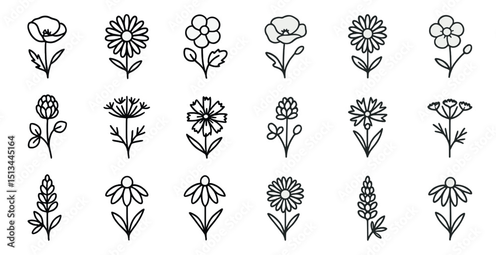 Fototapeta premium Black and white floral outlines for botanical design and nature projects