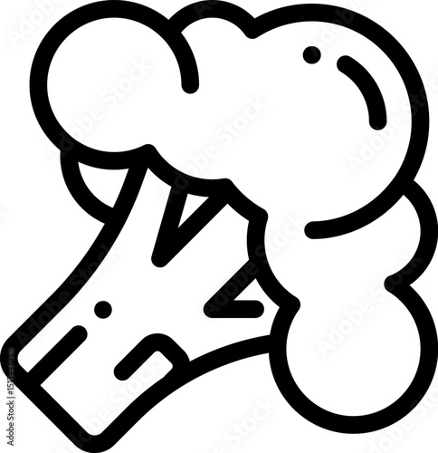 cauliflower illustration on a white background       