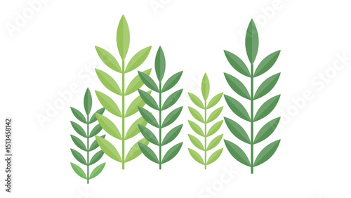 laurel wreath isolated on white