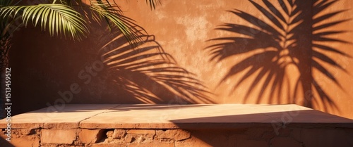 Tropical Terracotta Product Display with Palm Tree Shadow and Stone Platform.