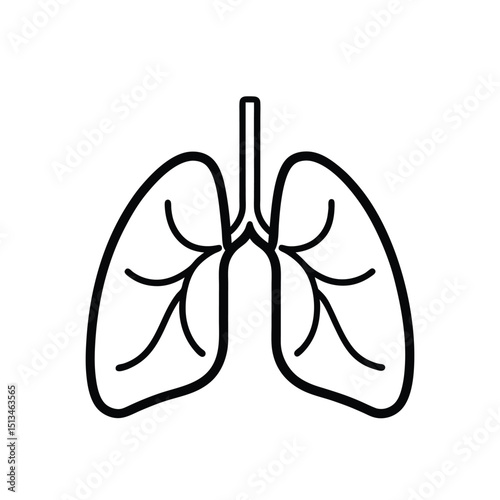 Human lungs outline illustration for medical healthcare and educational purposes in black and white