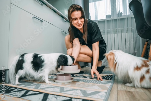 woman feeding for japanese chin in modern kitchen, pet care and contemporary lifestyle