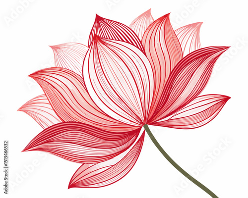 Create a bold, vector illustration of an abstract flower with thick, impactful strokes.  Focus on a striking silhouette.