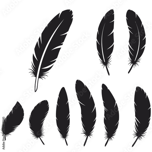 set of feathers vector