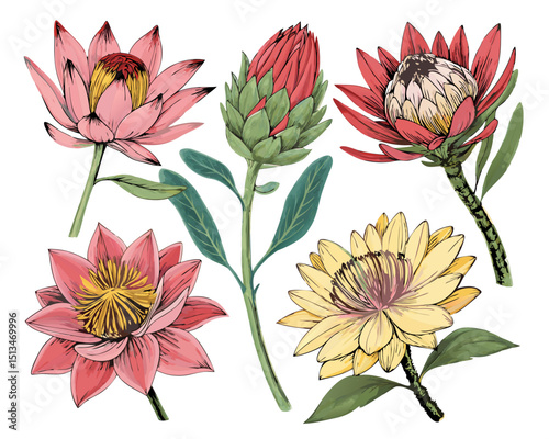 Create a bold, vector illustration of a hand-drawn flower, emphasizing strong, thick strokes and a stylized, slightly imperfect aesthetic.