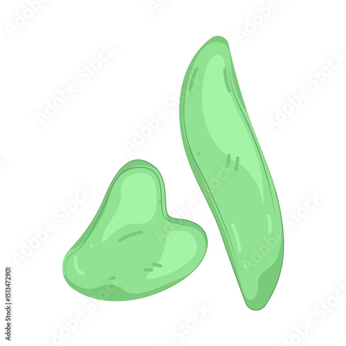 Illustration of gua sha 