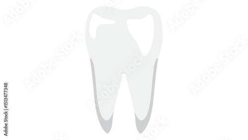 vector tooth icon