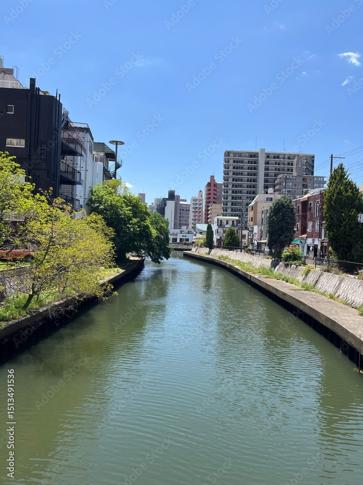 Naklejka premium 和歌山の川