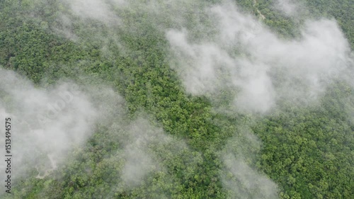 Sundarban,Bangladesh.Drone View.