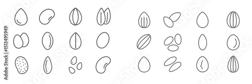 Different types of beans and seeds displayed in a neat arrangement on a light background