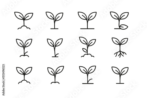 Plant growth stages represented in simple line art illustrations for educational purposes in nature studies