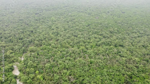 Sundarban,Bangladesh.Drone View.