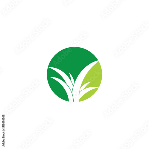 aloe vera green leaf logo and vector template