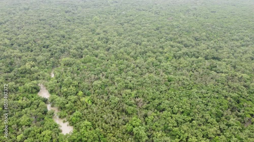 Sundarban,Bangladesh.Drone View.