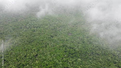 Sundarban,Bangladesh.Drone View.