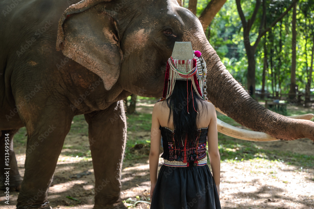 Fototapeta premium Back view female Akha hilltribe looking at elephant in elephant conservation