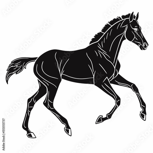 Black silhouette of a running young horse
