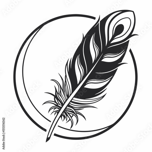 Elegant black and white peacock feather design