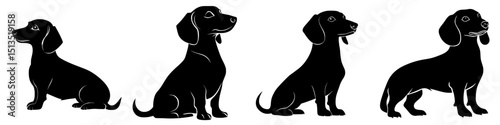 Various black vector illustrations of a dachshund in different poses and angles showcasing its unique characteristics