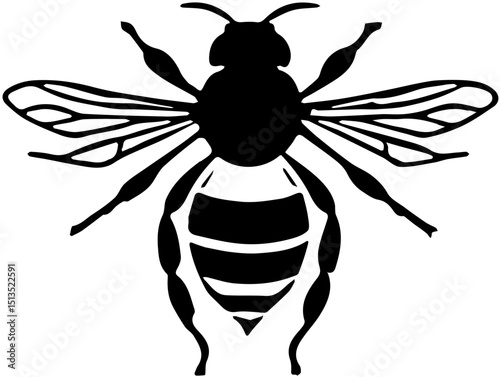 vector illustration of a bee