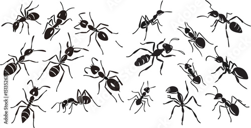 ant silhouette vector for educational visuals, pest control branding, web graphics, and creative design