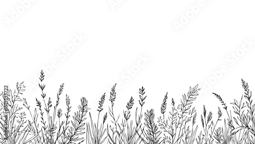wheat field grass silhouette black white