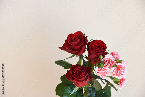 Fototapeta Naklejka Na Ścianę i Meble -  薔薇とカーネーション
