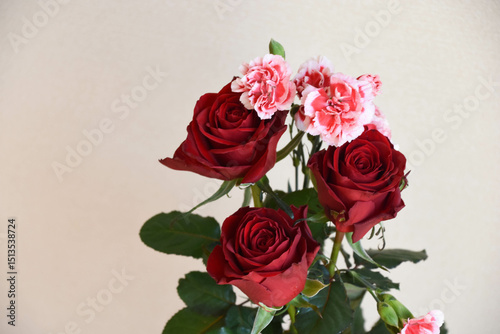 Fototapeta Naklejka Na Ścianę i Meble -  薔薇とカーネーション