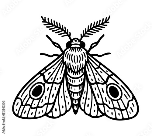 Hawk Moth Doodle - Order Lepidoptera