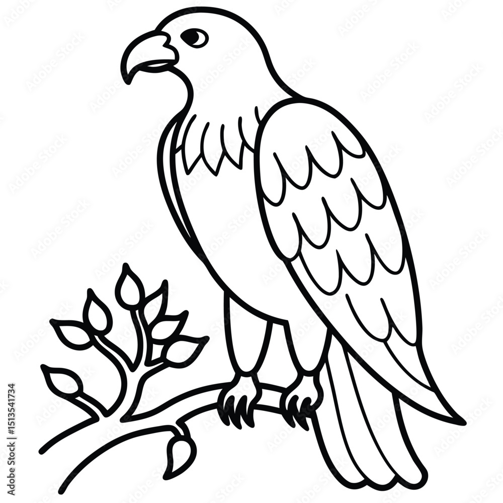 Obraz premium beautiful eagle bird vector illustration