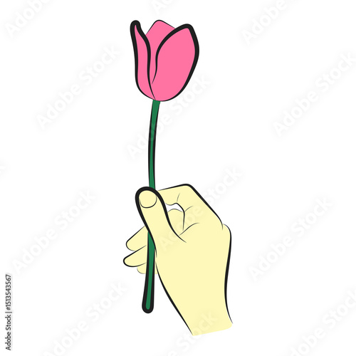 Single Pink Tulip in Hand. Minimalist Floral Vector Art
