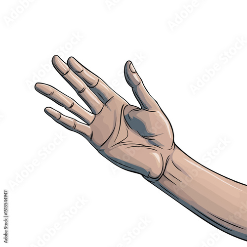 Professional Vector Illustration of a Hand Holding Something Isolated