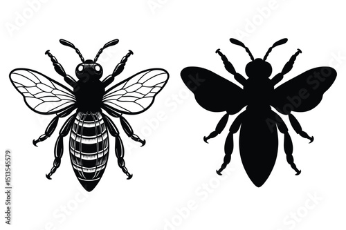 Detailed Bee Illustration with Corresponding Silhouette