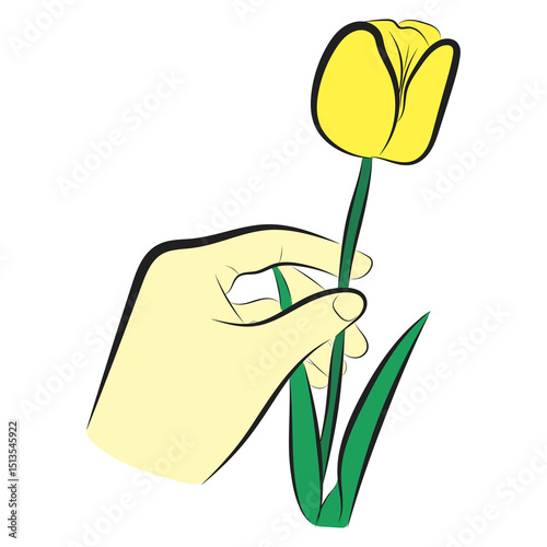 Yellow Tulip in Hand. Minimal Vector Illustration of Holding a Flower