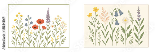 Beautiful summer wildflowers arranged in a colorful layout for a springtime illustration