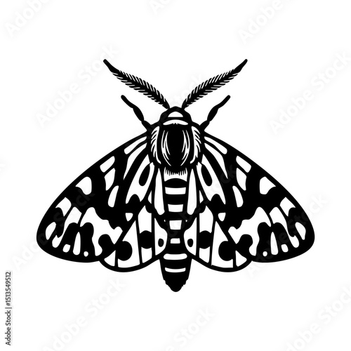 Tiger Moth Doodle - Order Lepidoptera