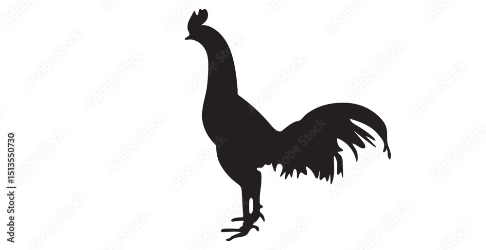 Fototapeta premium Rooster silhoutte