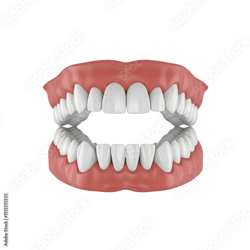 3D render of upper and lower human teeth in open-mouth dental model, all teeth visible, gradient grey background, high detail