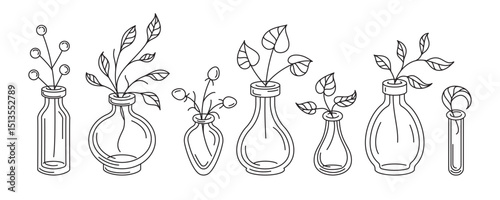 Herbal sprigs in vintage apothecary jars. Hand-drawn vector black line art for stickers, antistress coloring pages, and botanical design projects.