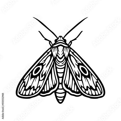 Armyworm Moth Line Art - Order Lepidoptera