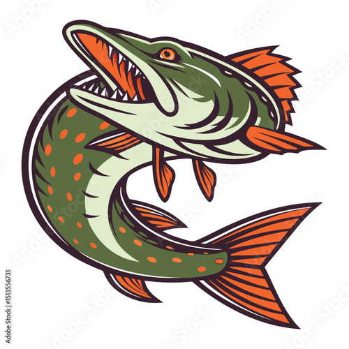 Realistic Northern Pike Vector  Freshwater Fish Graphic