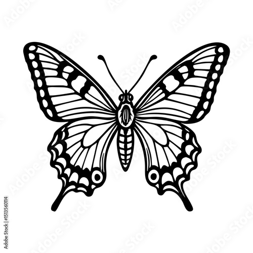 Swallowtail Butterfly Doodle - Order Lepidoptera