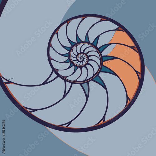 Illustration of a nautilus shell with geometric design