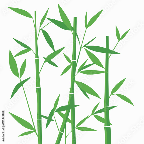 Simple elegant green bamboo stalks with leaves isolated on a white background perfect for nature designs or eco friendly projects suitable for multiple usages