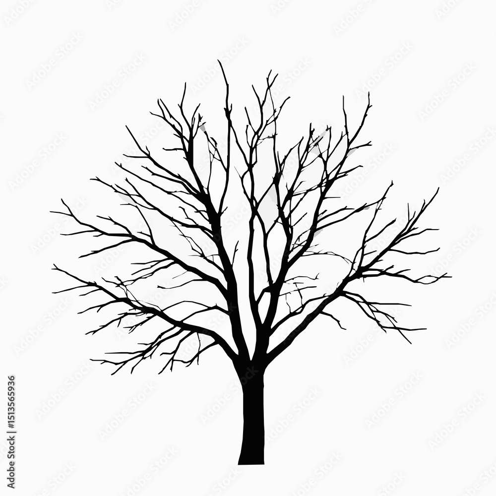 Obraz premium Silhouette of a bare tree against a clean white background illustrating the natural beauty of winter season and minimalist design