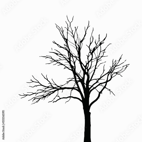 Isolated silhouette of a barren tree against a white background representing concepts of nature minimalism and the stark beauty of winter.